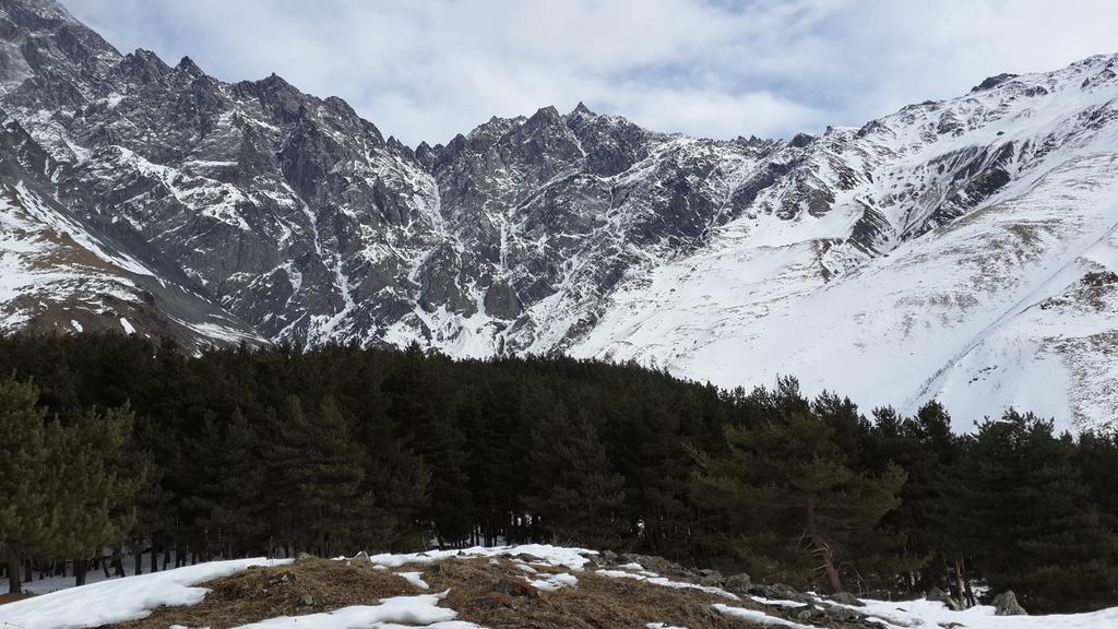 ホテル Panorama Kazbegi エクステリア 写真