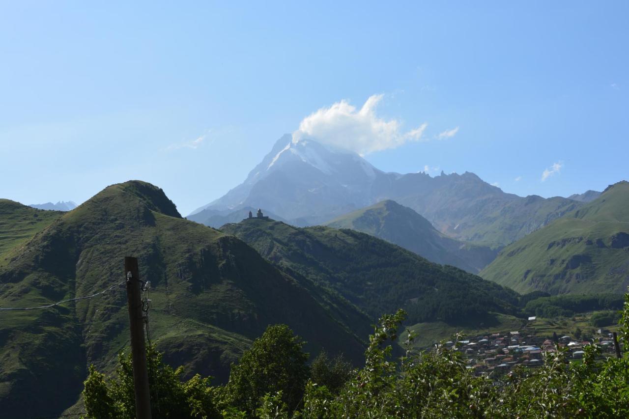 ホテル Panorama Kazbegi エクステリア 写真